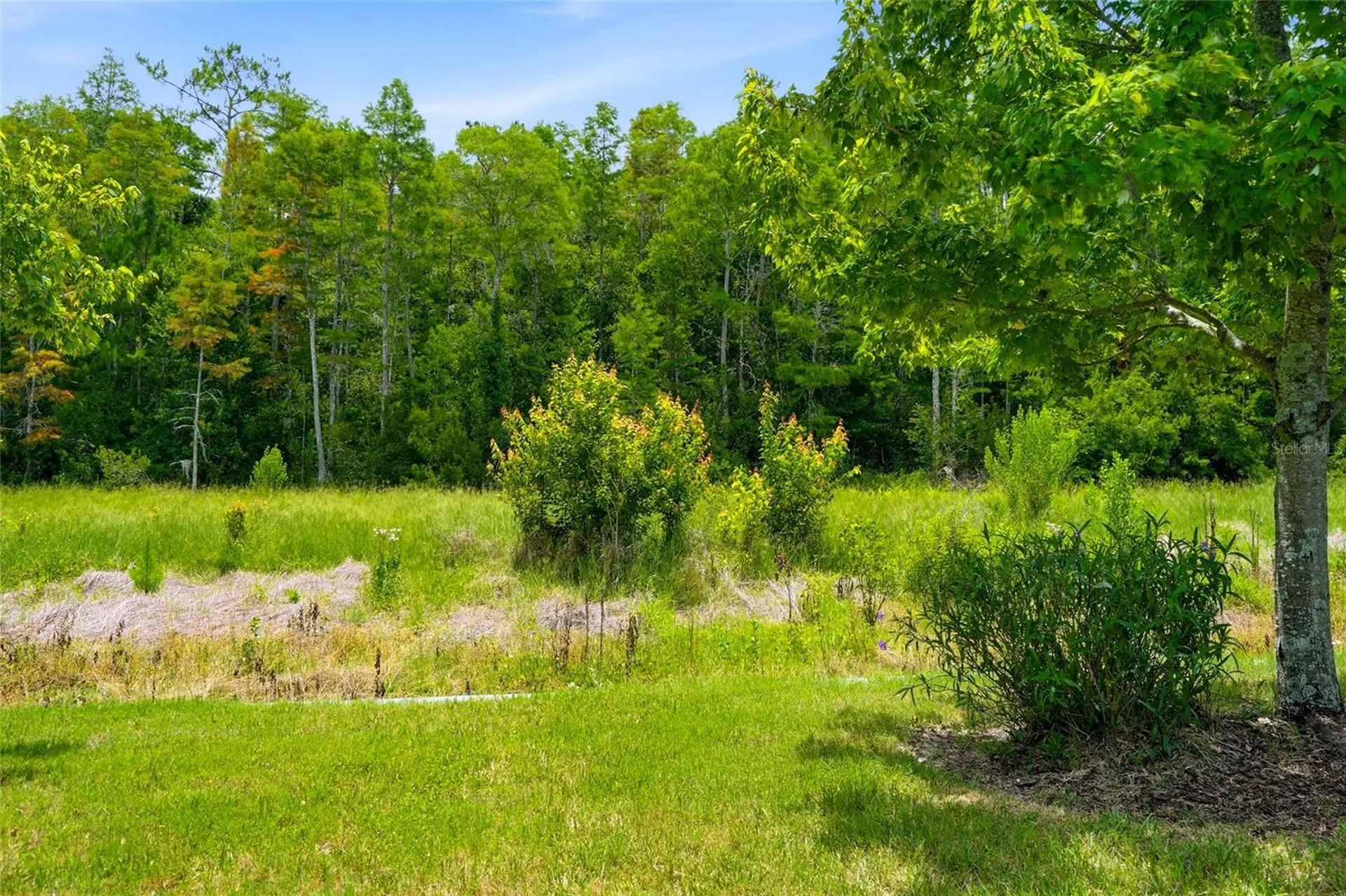 16952 Balance Cove Land O Lakes FL 34638
