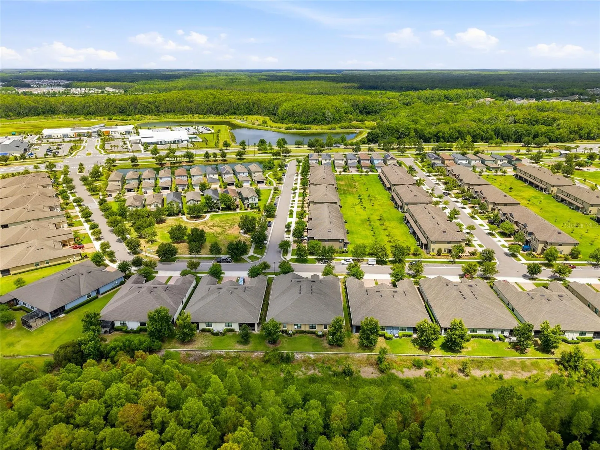16952 Balance Cove Land O Lakes FL 34638