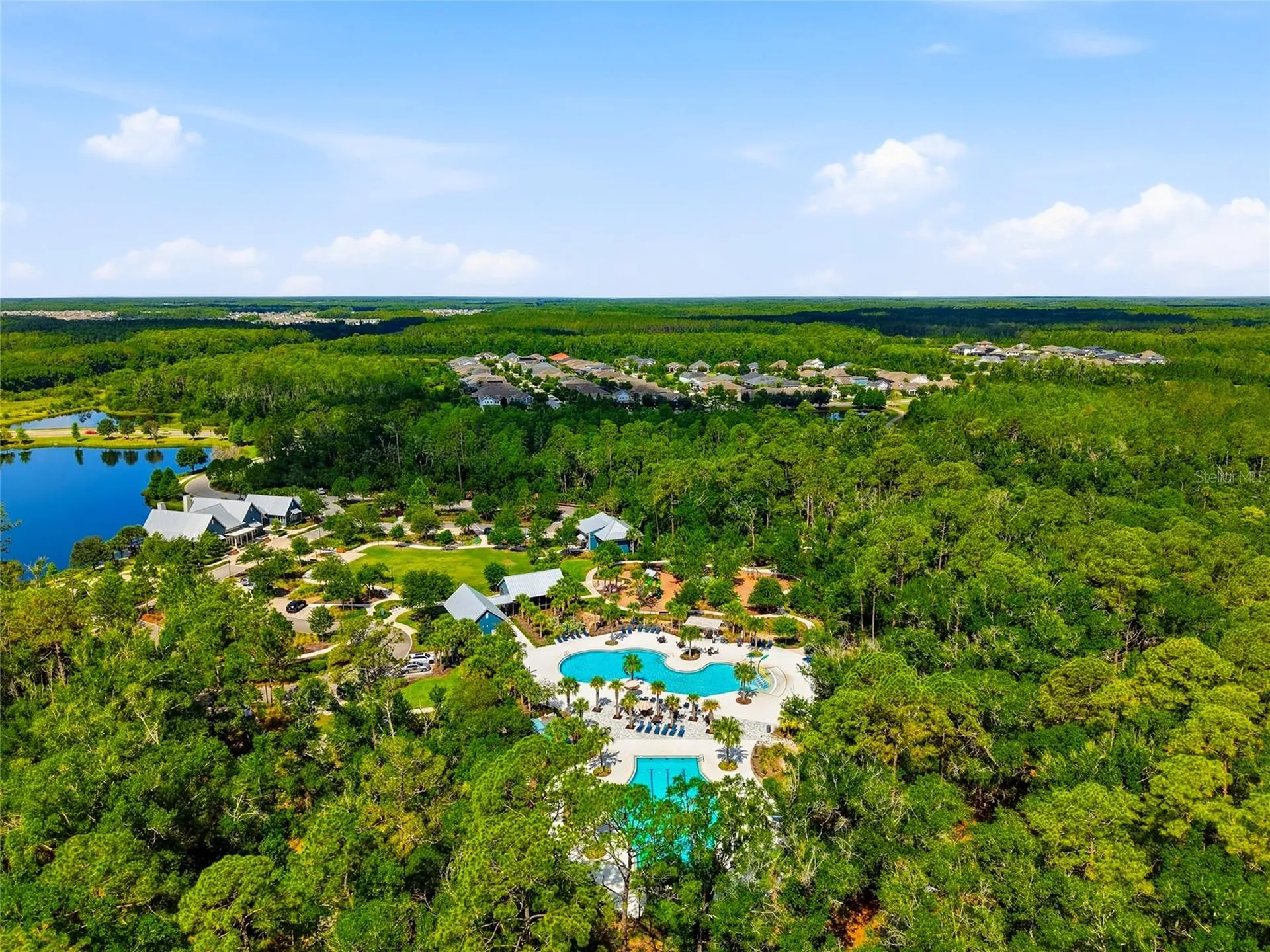 16952 Balance Cove Land O Lakes FL 34638