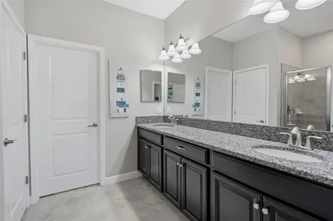 16952 Balance Cove Land O Lakes FL 34638