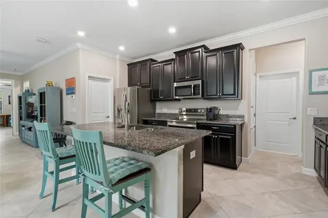 16952 Balance Cove Land O Lakes FL 34638