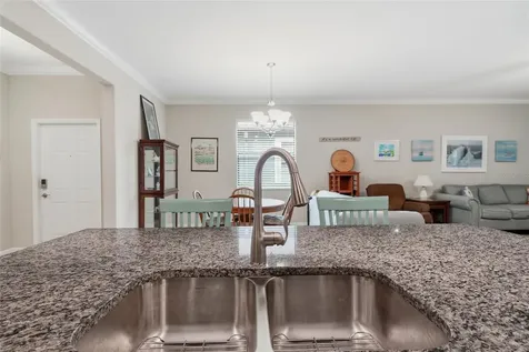 16952 Balance Cove Land O Lakes FL 34638