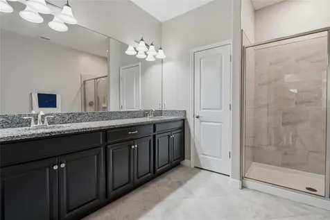 16952 Balance Cove Land O Lakes FL 34638