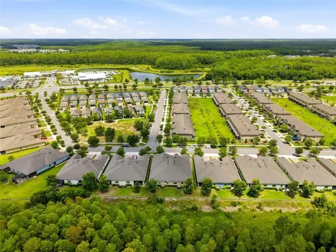 16952 Balance Cove Land O Lakes FL 34638