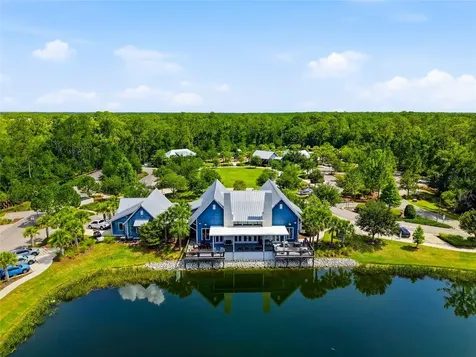 16952 Balance Cove Land O Lakes FL 34638