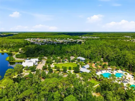 16952 Balance Cove Land O Lakes FL 34638