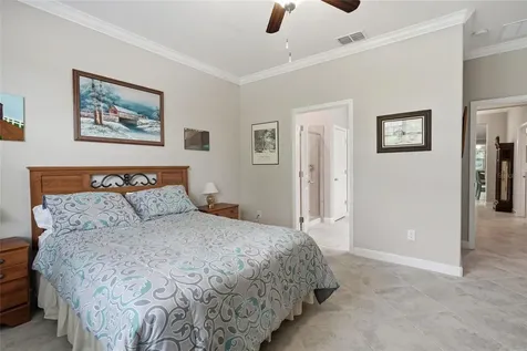 16952 Balance Cove Land O Lakes FL 34638