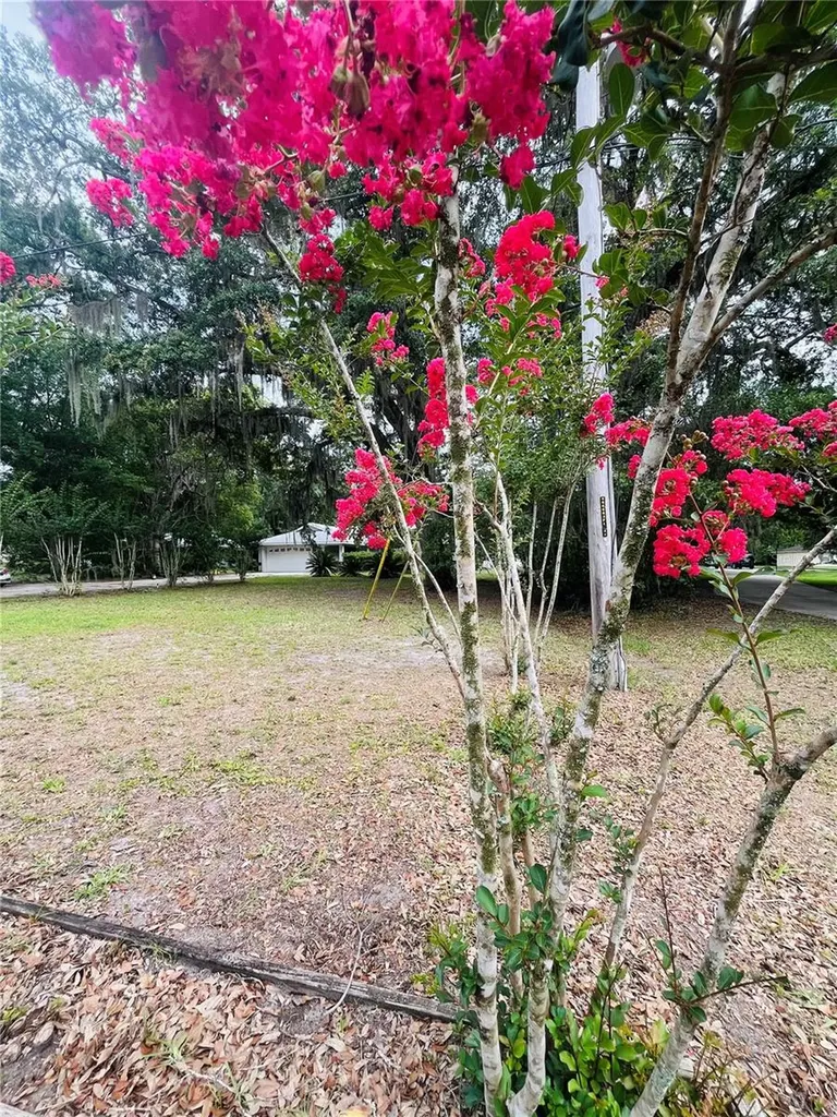 20517 NE 114th Avenue Waldo FL 32694