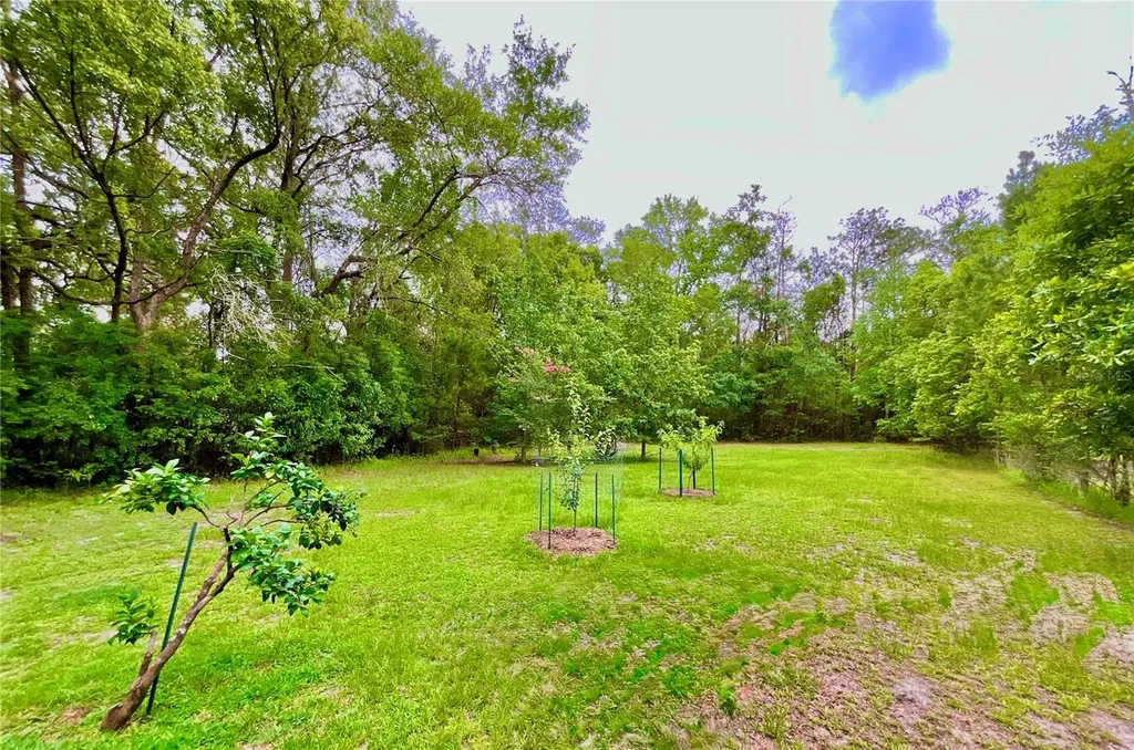 20517 NE 114th Avenue Waldo FL 32694