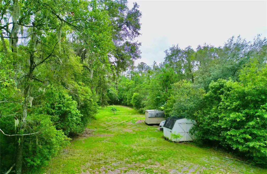 20517 NE 114th Avenue Waldo FL 32694