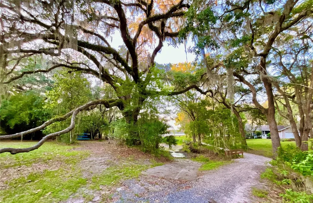 20517 NE 114th Avenue Waldo FL 32694