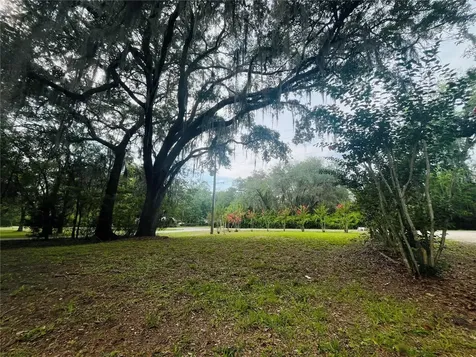 20517 NE 114th Avenue Waldo FL 32694
