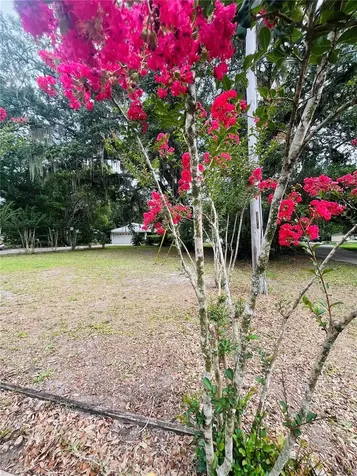 20517 NE 114th Avenue Waldo FL 32694