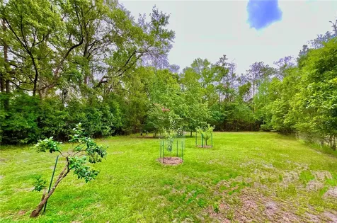 20517 NE 114th Avenue Waldo FL 32694