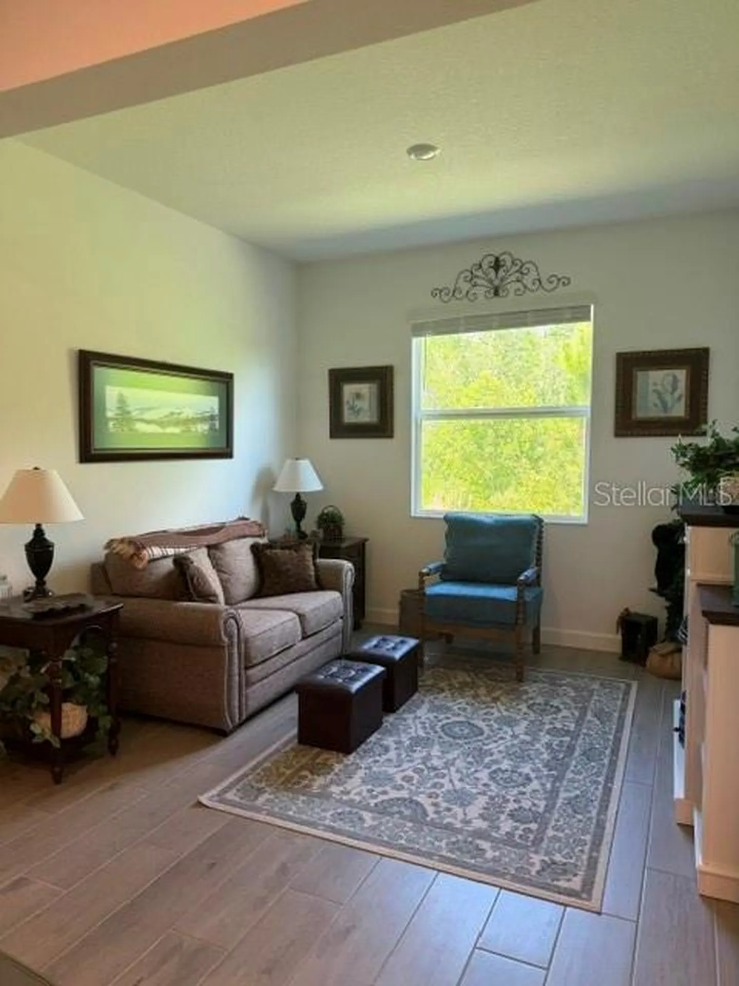 9760 Minnow Ray Drive Land O Lakes FL 34638