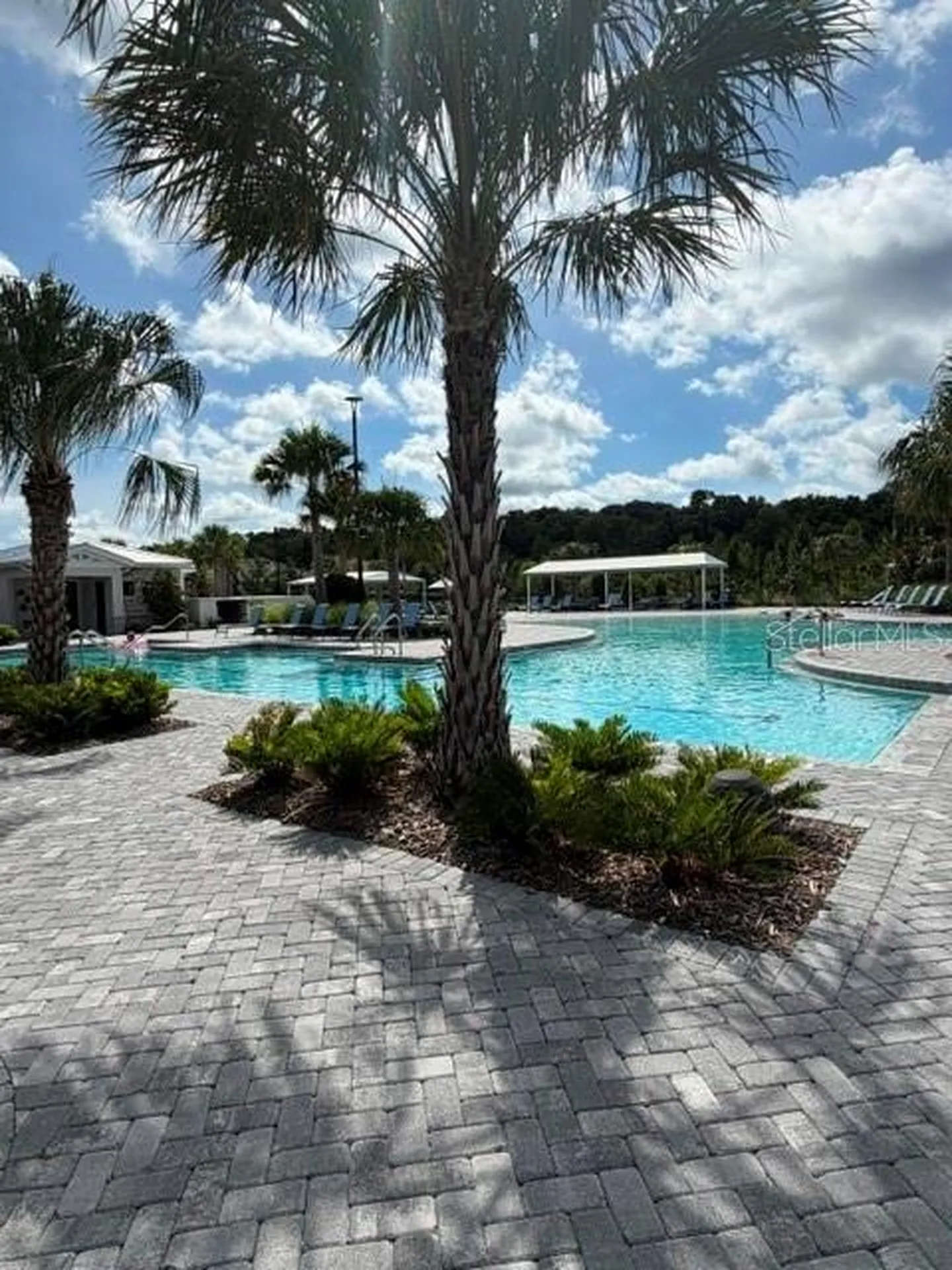 9760 Minnow Ray Drive Land O Lakes FL 34638