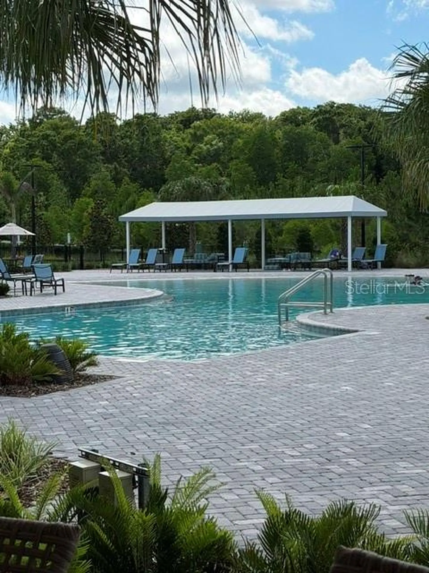 9760 Minnow Ray Drive Land O Lakes FL 34638