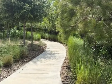9760 Minnow Ray Drive Land O Lakes FL 34638