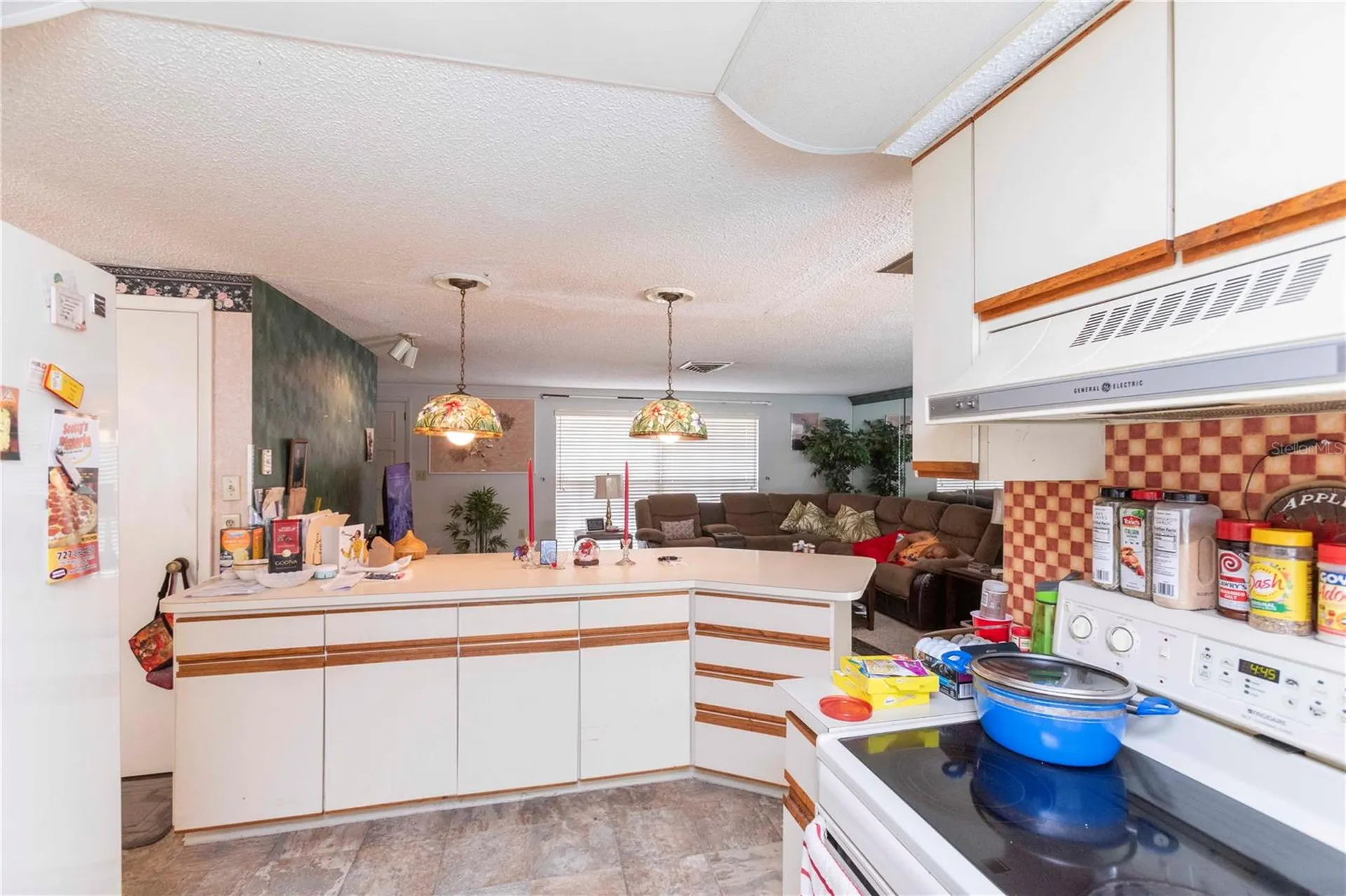 12101 Longstrap Lane Hudson FL 34667
