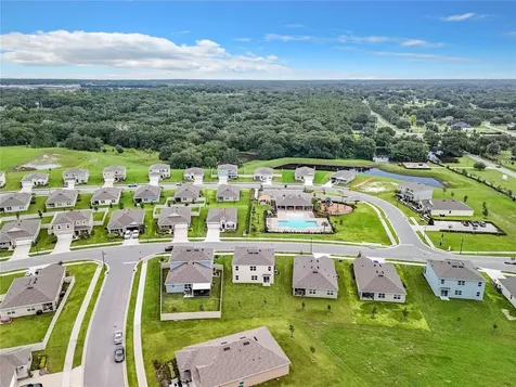 1237 Limbali Street Mount Dora FL 32757