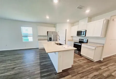 1237 Limbali Street Mount Dora FL 32757