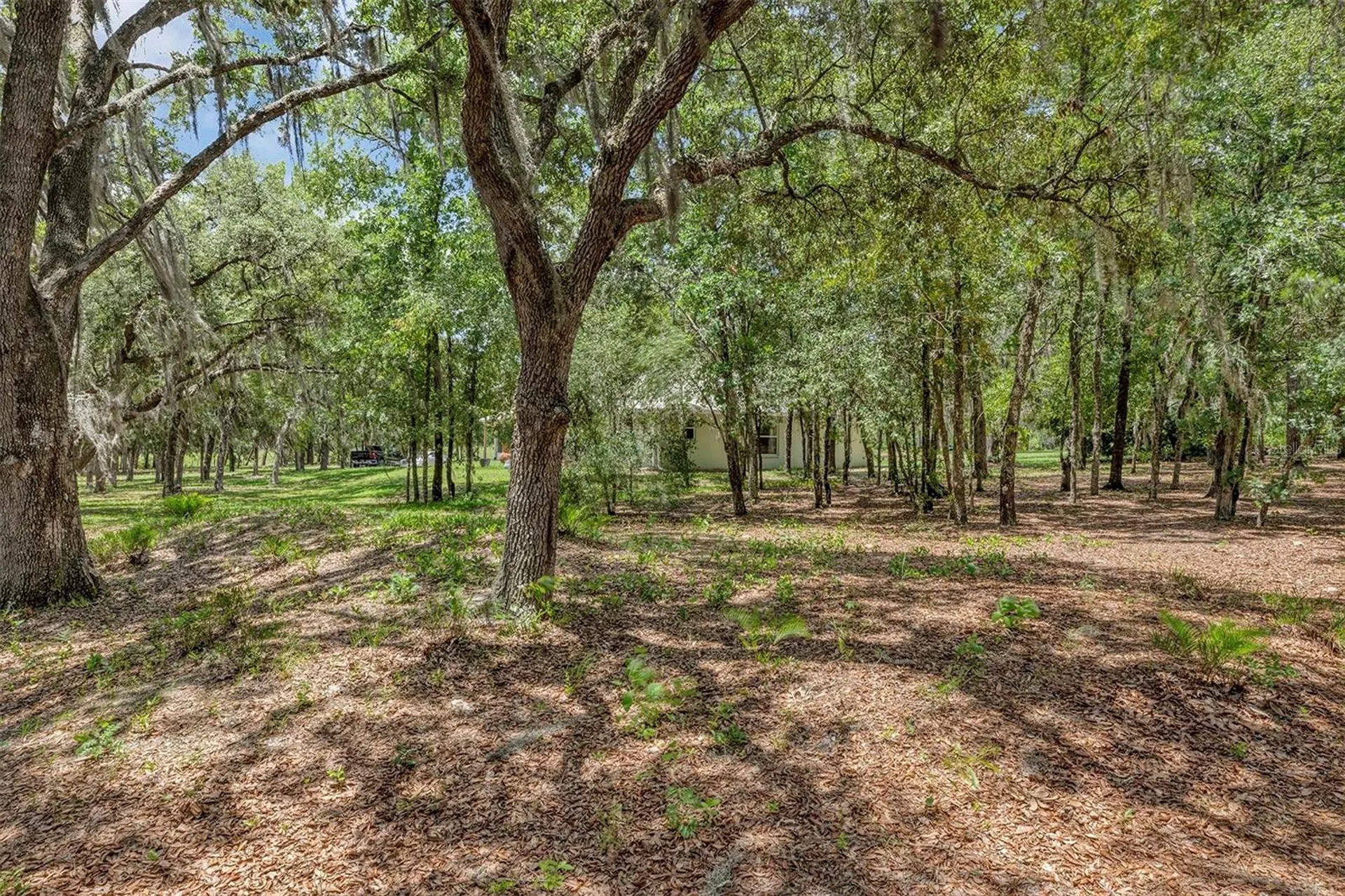 15810 SW 59th Avenue Road Ocala FL 34473