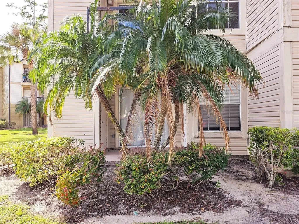 1916 Lake Atriums Circle Orlando FL 32839