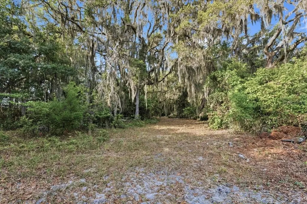 138 Hutchinson Lane Hawthorne FL 32640