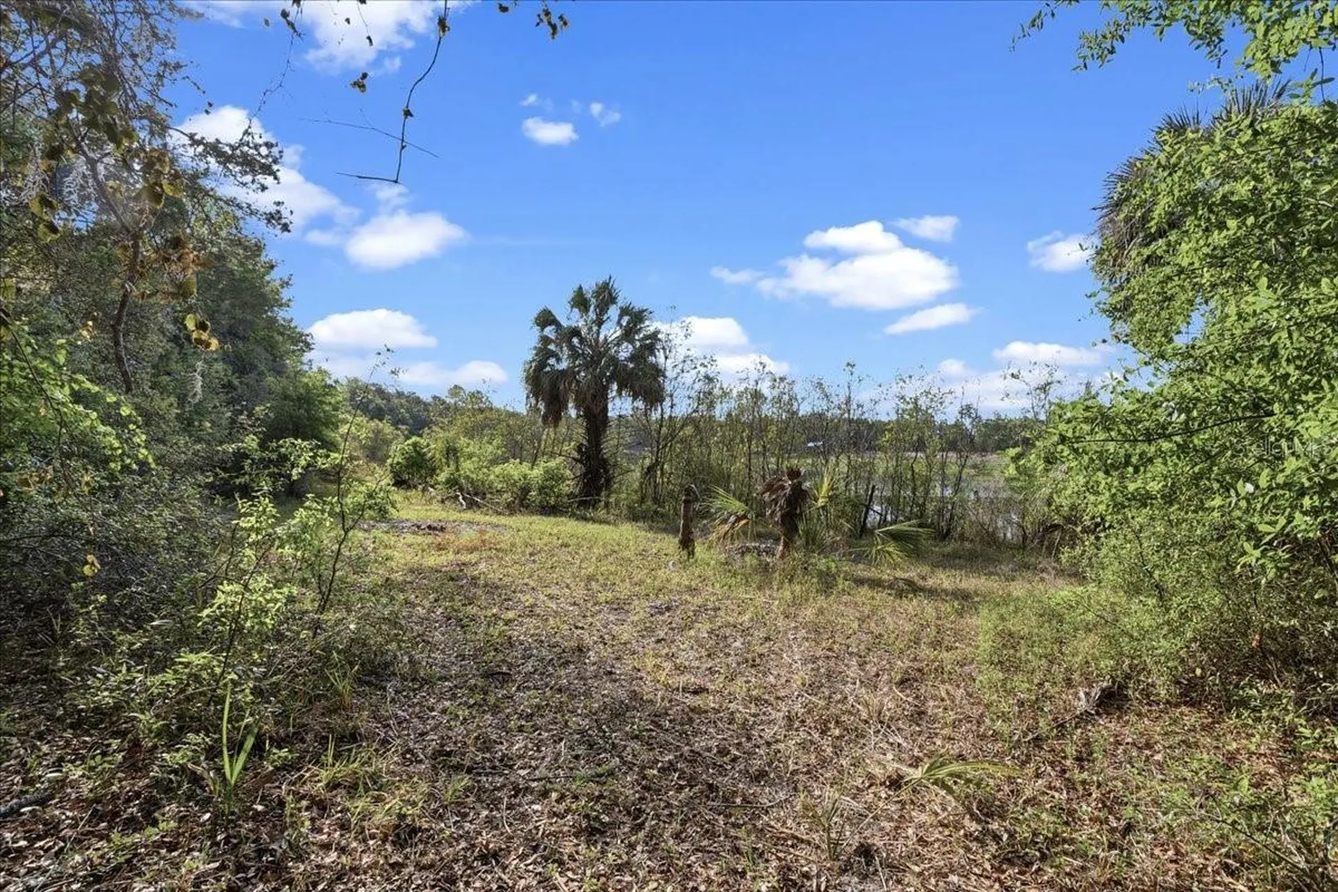 138 Hutchinson Lane Hawthorne FL 32640