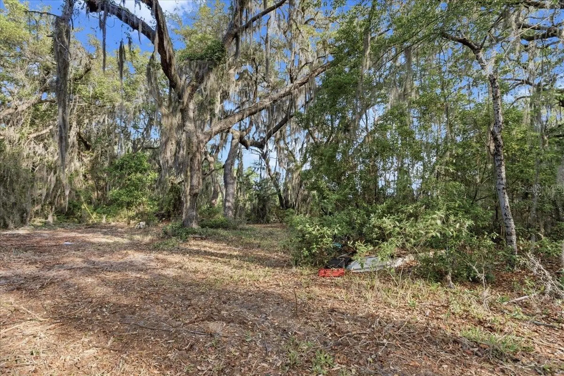 138 Hutchinson Lane Hawthorne FL 32640