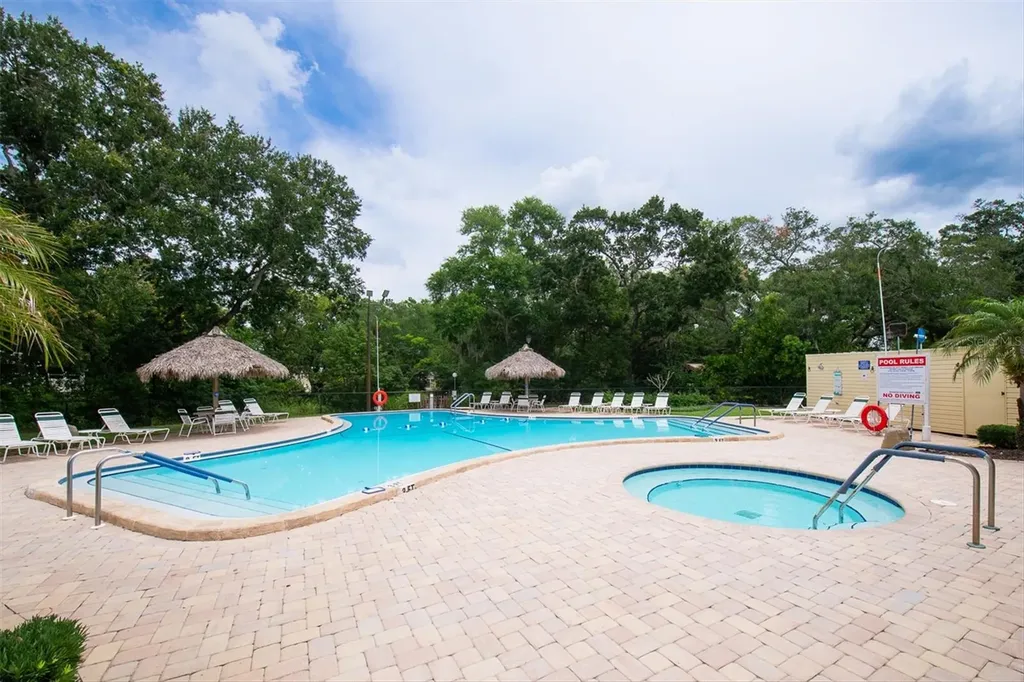47 Sugar Bear Drive Safety Harbor FL 34695