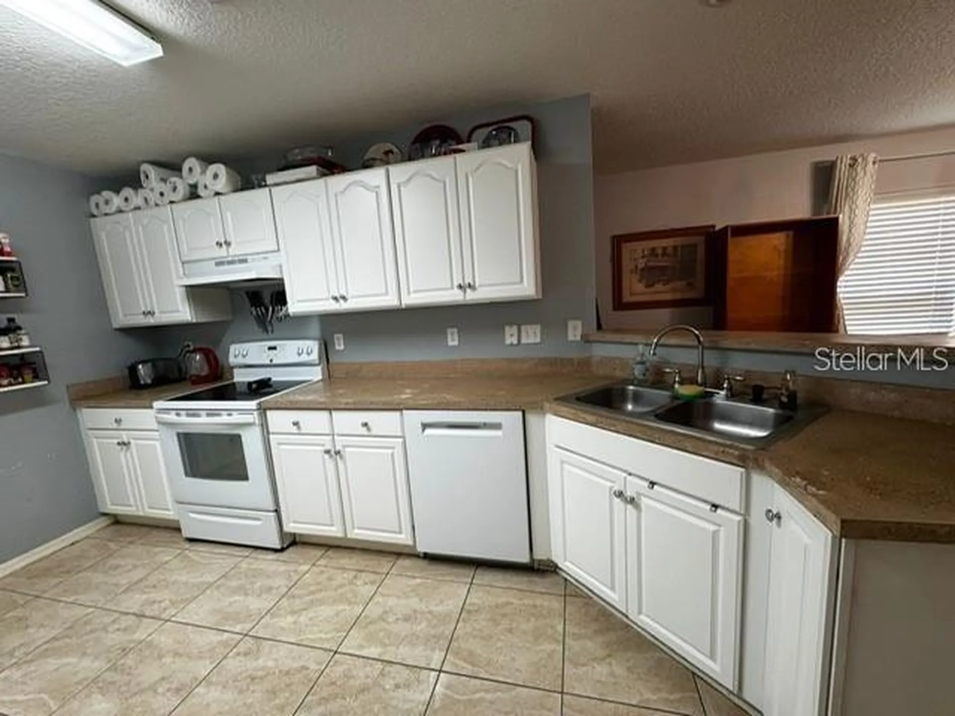 6913 Marble Fawn Place Riverview FL 33578