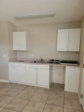 1325 Washington Palm Loop Davenport FL 33897