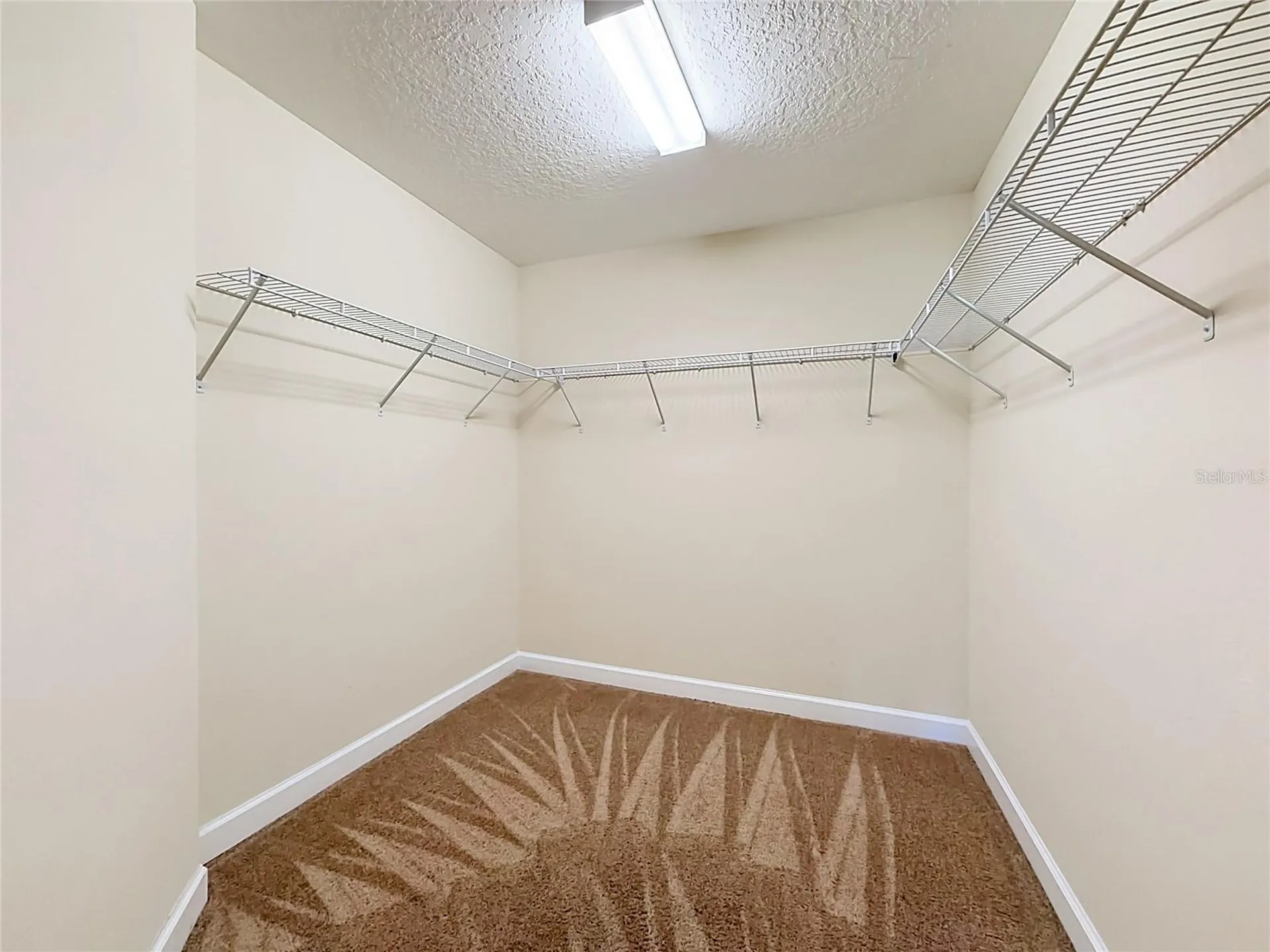15121 Evergreen Oak Loop Winter Garden FL 34787