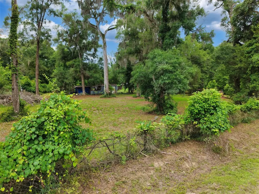 109 NE 194th Avenue Old Town FL 32680