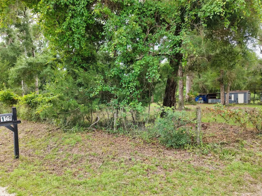 109 NE 194th Avenue Old Town FL 32680