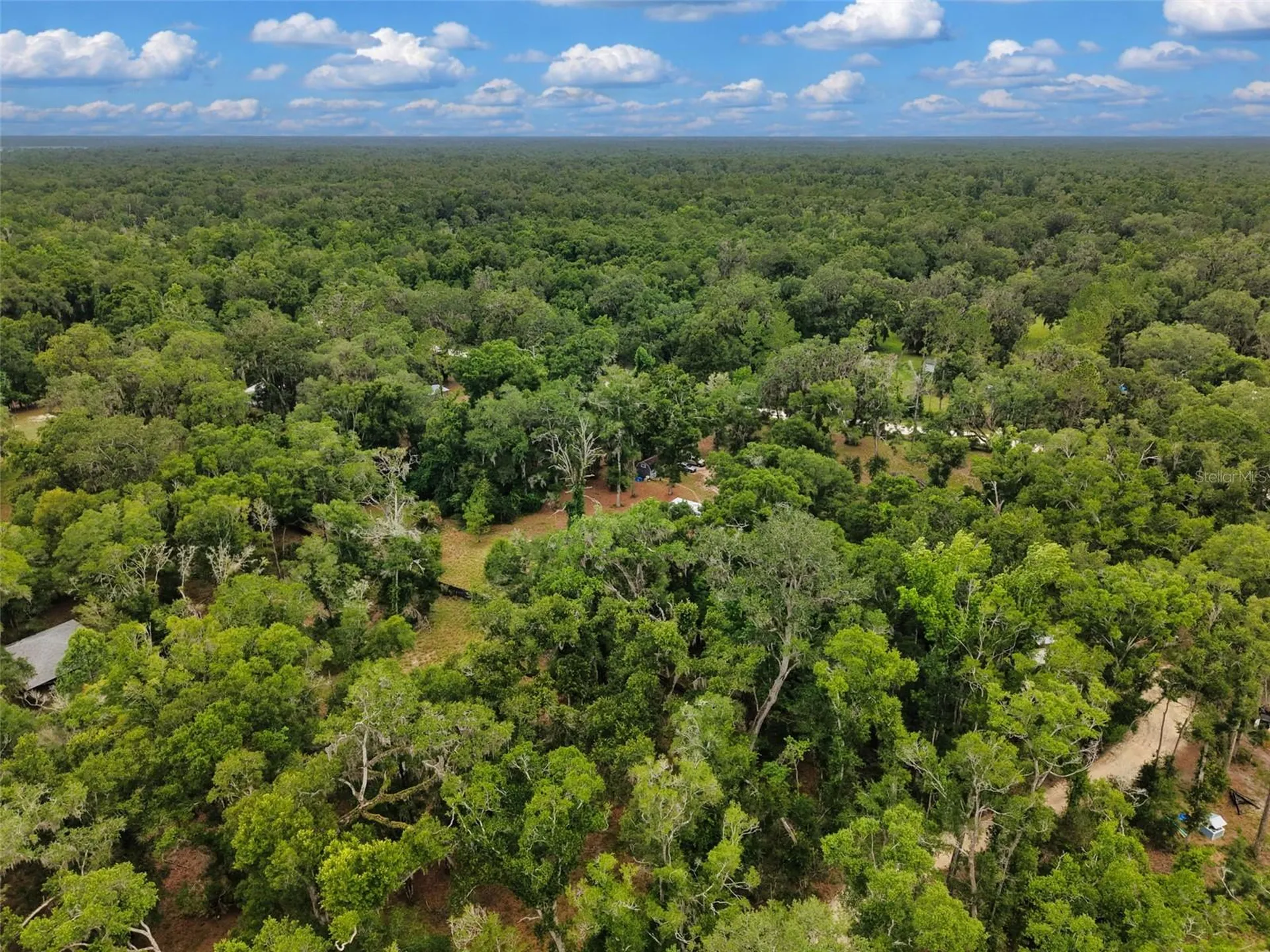 109 NE 194th Avenue Old Town FL 32680
