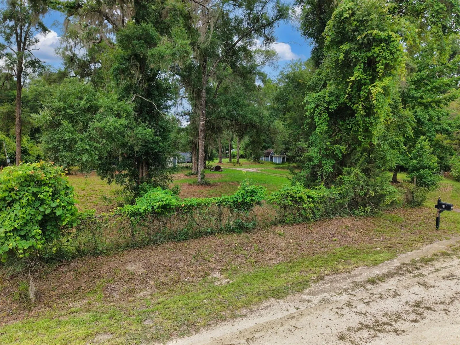 109 NE 194th Avenue Old Town FL 32680