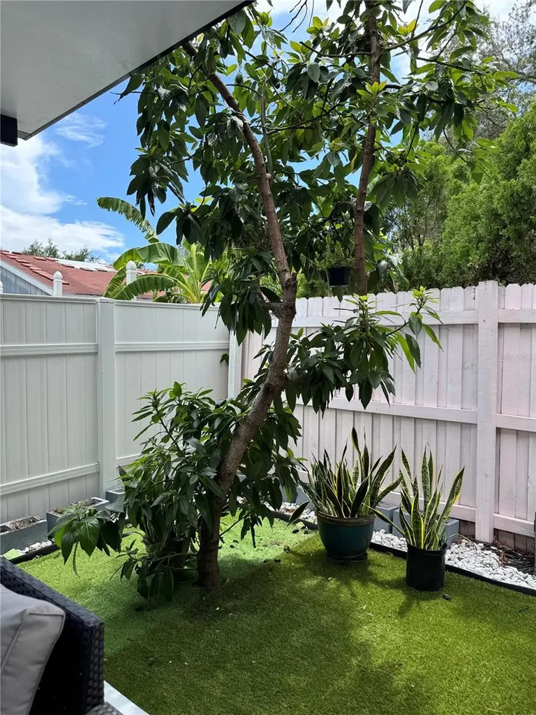 10114 Briarwick Court Tampa FL 33615