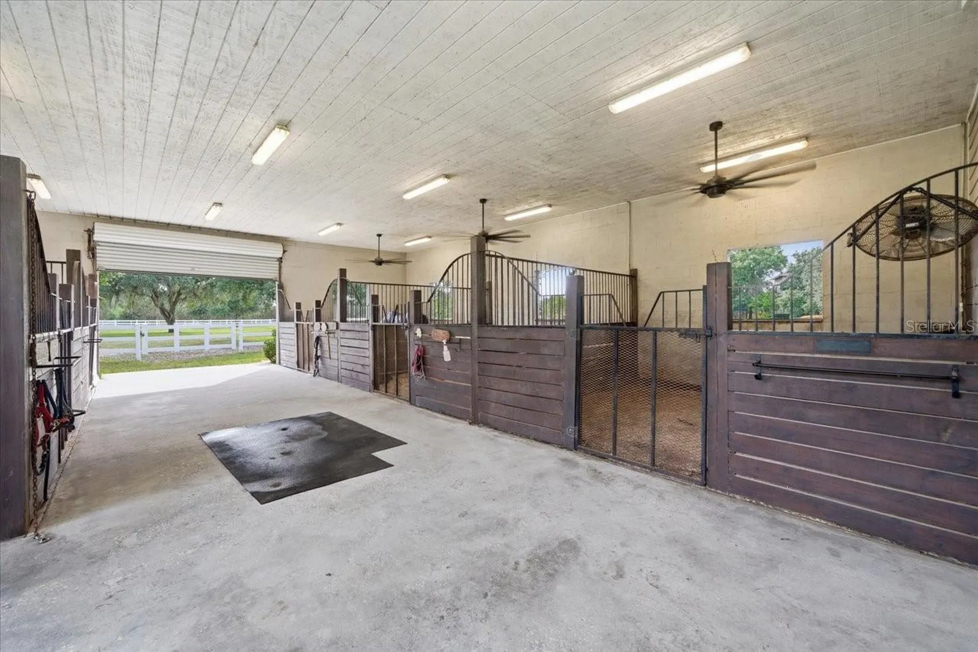 11511 Trotting Down Drive Odessa FL 33556