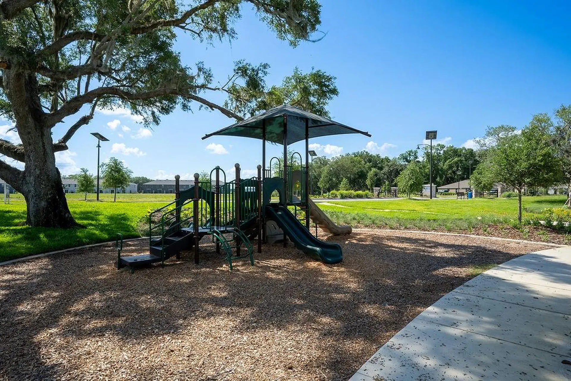 3115 Canopy Oak Boulevard Wildwood FL 34785