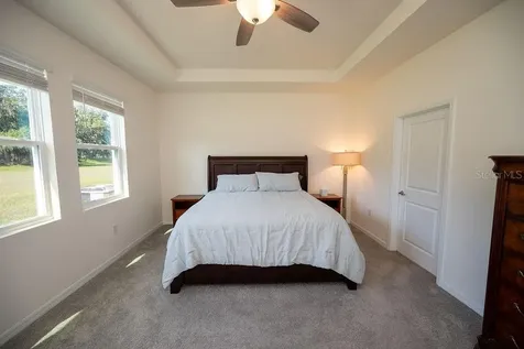 3115 Canopy Oak Boulevard Wildwood FL 34785