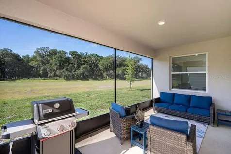 3115 Canopy Oak Boulevard Wildwood FL 34785