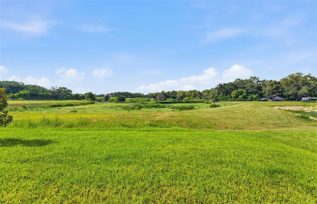 11224 Sycamore Glen Loop Thonotosassa FL 33592