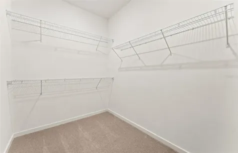 11224 Sycamore Glen Loop Thonotosassa FL 33592