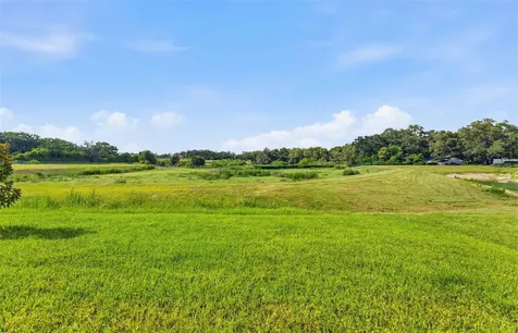 11224 Sycamore Glen Loop Thonotosassa FL 33592