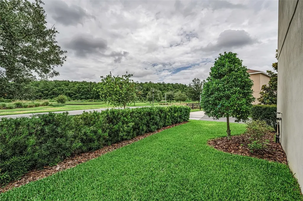 13760 Stevenson Lane Odessa FL 33556
