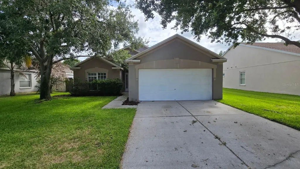 29947 Morningmist Drive Wesley Chapel FL 33543