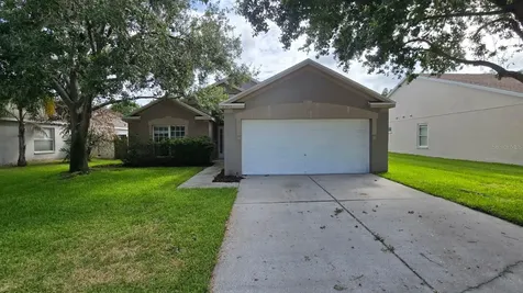 29947 Morningmist Drive Wesley Chapel FL 33543