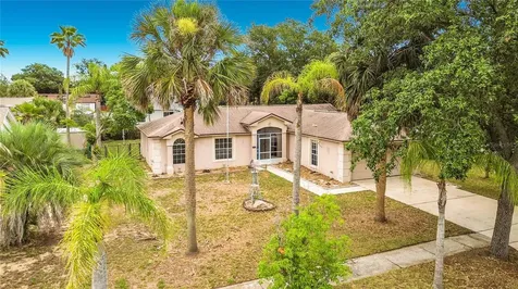 2236 Kiwi Trail Clermont FL 34714
